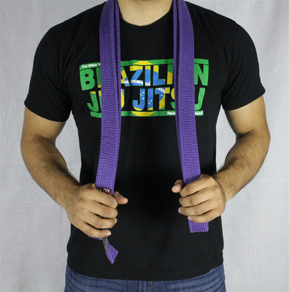 Brazilian Flag T-Shirt you either win or learn open guard apparel. 